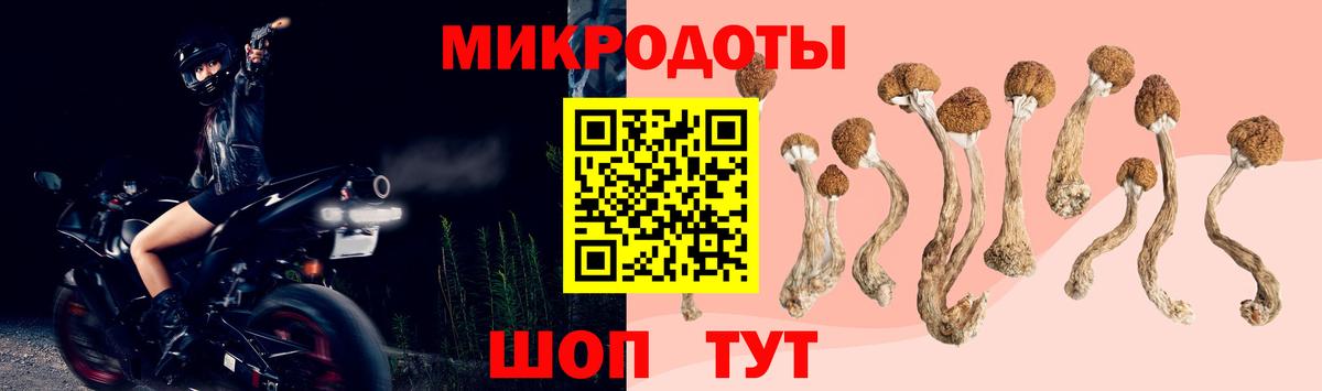 Галлюциногенные грибы Magic Shrooms Асбест